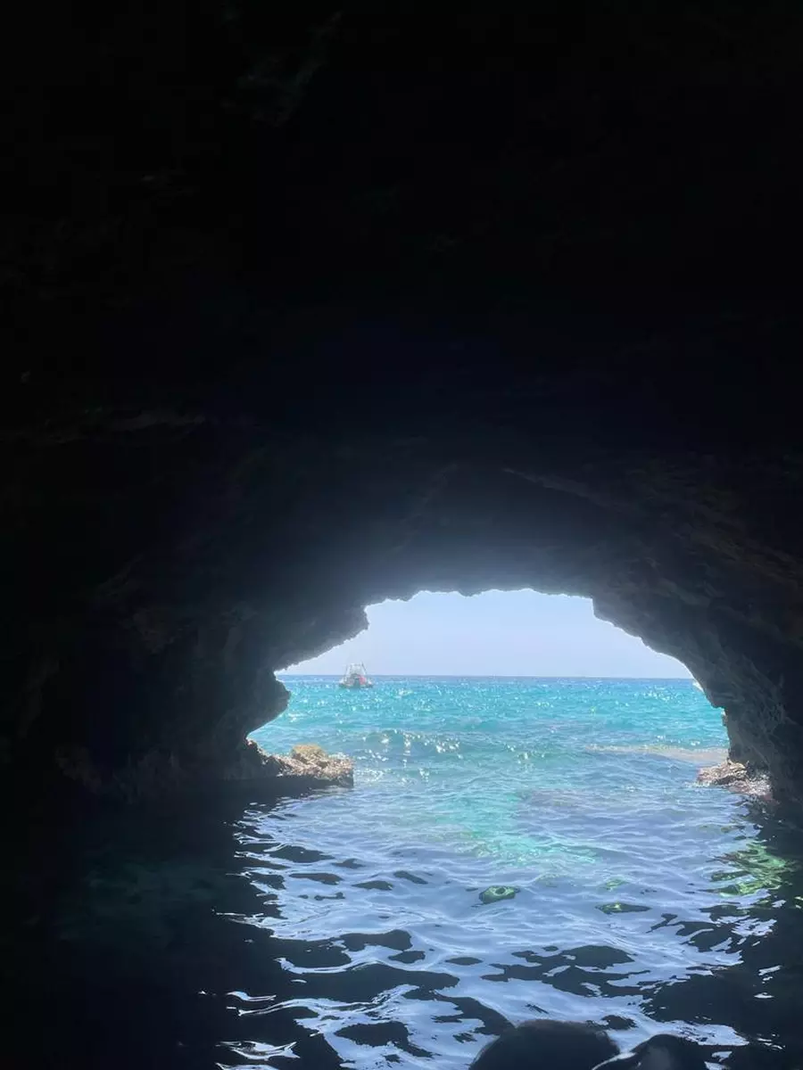 Adrenaline / Secret Coves