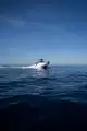 Boote mit Skipper / X770 Aloha (9p)